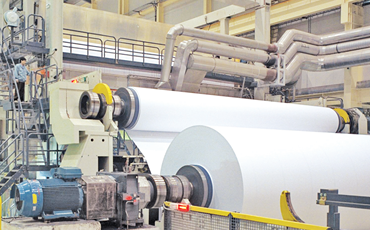 BỘT GIẤY & CÁN GIẤY