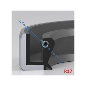 Phớt chặn dầu lò xo - R17