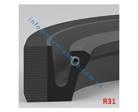 Phớt chặn dầu lò xo - R31