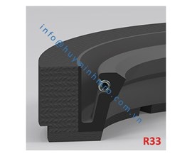 Phớt chặn dầu lò xo - R33