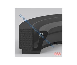 Phớt chặn dầu lò xo - R33